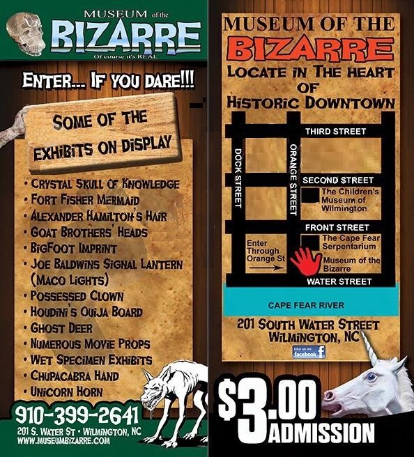 Curiosities Museum Wilmington, NC Natural History Museum & Science Museum